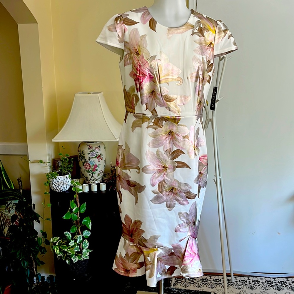 💖💃🏻Alexa B nites Floral Pattern Cap Sleeve Dress for Women 10-Ivory & Blush